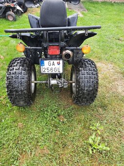 Eagle lyda 203 Tp spz - 7
