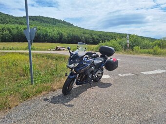 Predam Suzuki Bandit 1200 - 7