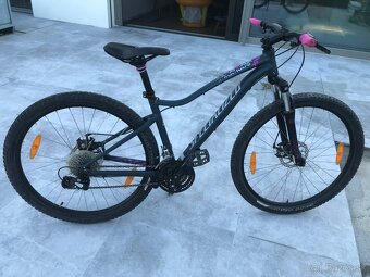 Specialized - 7