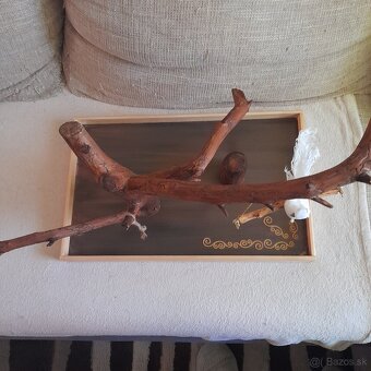 Papagáje, stromobidlá, strom pre papagáje - 7