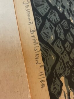 Jesenná Bratislava Tibor Andráši - 7