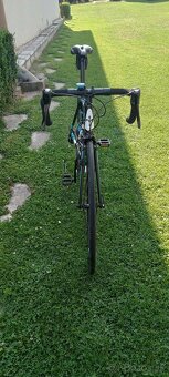 Wilier trestina model Luna - 7