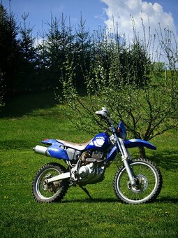 Yamaha TT 600 R 2001 s TP - 7