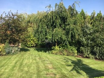 Dom s garážou na peknom rovinatom pozemku. - 7