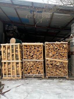 Palivove drevo buk - 7