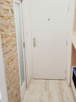 CENA VRÁTANE ENERGIÍ – ZREKONŠTRUOVANÁ GARZÓNKA s výhľadom d - 7