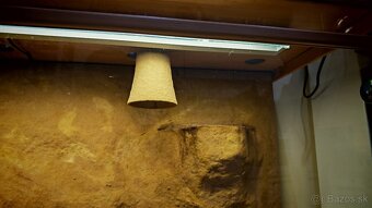 ✅ Terárium 114x71x45 s 3D stenou - 7