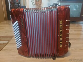 Harmonika Delicia Junior 4 - 7