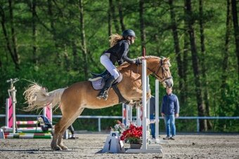 Kllisna hafling, Pony B - 7