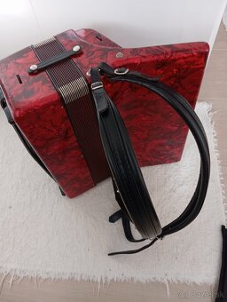 akordeon-harmonika - 7