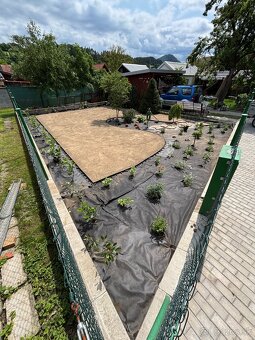 Realizácia záhrad údržba - 7