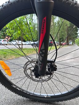 CTM Rocky Race 24" - 7