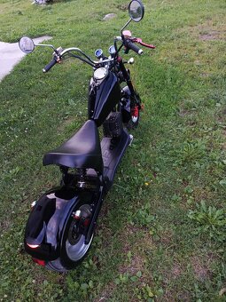Elektro Chopper - 7