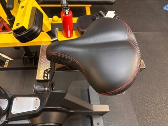 Rogue Echo bike - 7