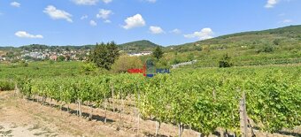 Záhrada v Rači na ulici Lisovňa, mestská voda, 600 m2 - 7
