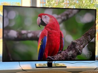 Philips 50PUT6400/12 UHD Smart 127cm Android - 7