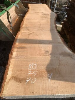 Dubové xxl fosne - 7