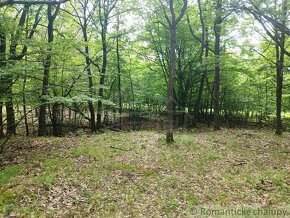 Lesné pozemky v obci Hrušov - 7