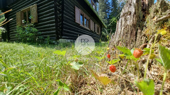 Rekreačný pozemok s drevenicou – Hronec - príroda, výhľady, - 7