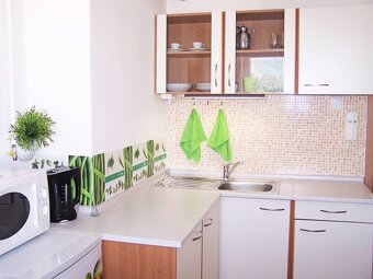 1-izbový byt, Nivy, Miletičova, tehla, kompletná rekonštrukc - 7