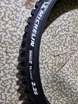 Pašte Michelin - 7
