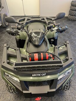 Arctic cat - 7
