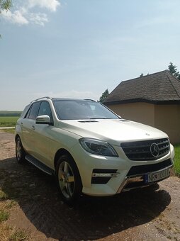 ML350 - 7
