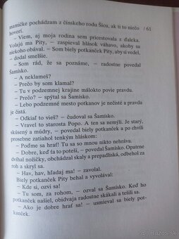 Hľadajte Šamiska (Anna Minichová) - 7