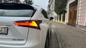 Lexus NX 300h Hybrid 4x4 - 7