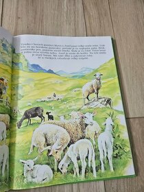 Moja najkrajsia kniha o zvieratkach - 7