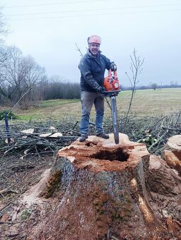Rizikový výrub a orez stromov - 7
