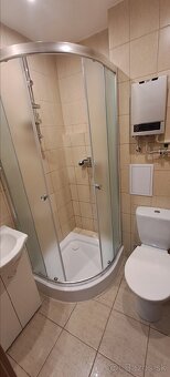 1 izbový byt na prenájom - 7