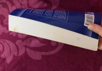 Nezaměstnanost psychologický, ekonomický a sociální problém - 7