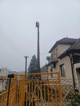 Porez / rezanie gulatiny na mieste >NAJLACNEJSI - 7