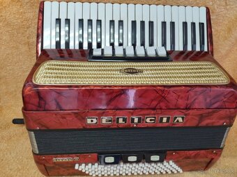 Harmonika akordeon Delicia Carmen III - 96 bas. - 7