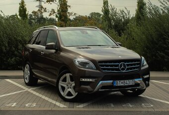 Mercedes-Benz ML 350 BLUETEC 4MATIC - 7