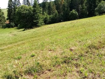 Orná pôda Lokca - 7