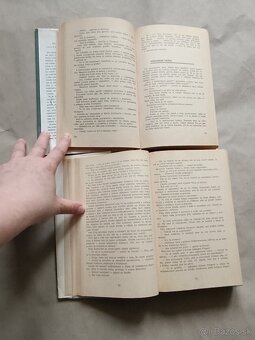 Marija Jurič Zagorka: Sokyňa Márie Terézie,Dvorná Kamarila - 7