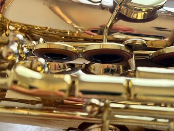Saxofon Stewart Ellis Elite - 7