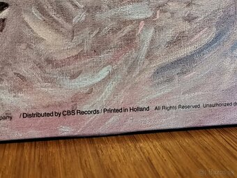 LP Joni Mitchel-Wild things runfast - 7