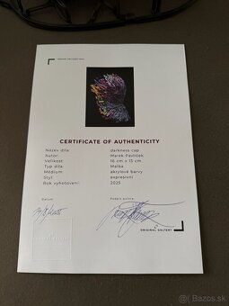 DARKNESS cap od maliara Mareka Pavlíčka s certifikátom pravo - 7