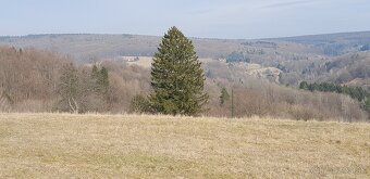 Predaj domu v obci ŽÍTKOVA (17 km od Trenčína) - 7