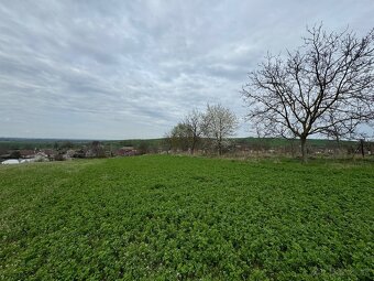Rodinný dom s pozemkami o výmere 3755 m² ideálny na výstavbu - 7