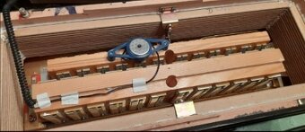 Akordeon Hohner Lucia IV P 96 - 7