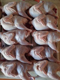 Prepeličie vajíčka - 7