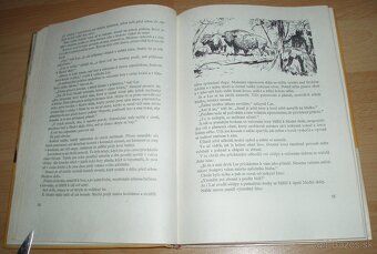 U pravěkých lovcu - 7