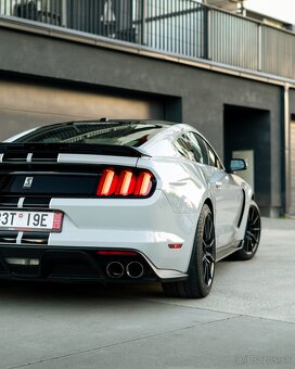 Mustang GT350 Shelby Originál nebúrané 21k km ako nové - 7