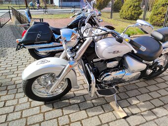 Suzuki C 800 VL 800 Intruder - 7