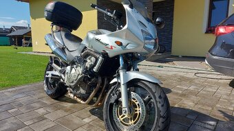 Honda Hornet 600 - 7