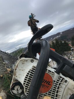 Pílenie stromov, arboristika, drtenie konárov - 7